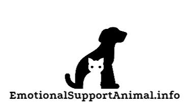 Take Emotional Support Animal Quiz